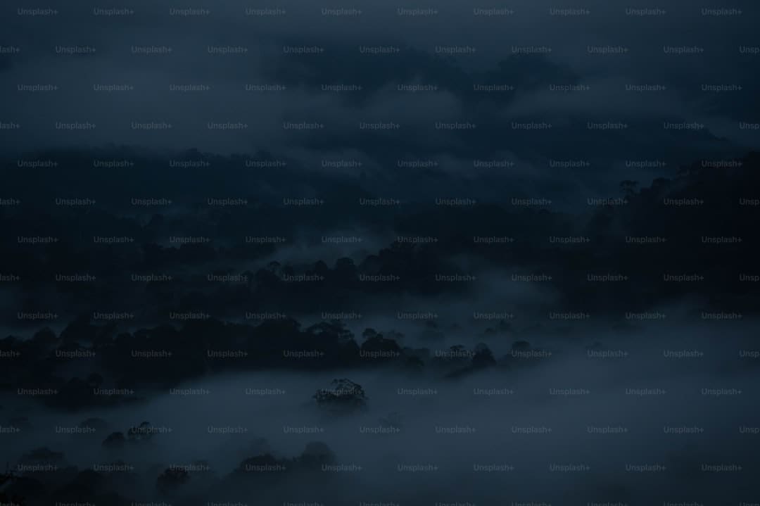 灵隐寺的辣椒酱超辣有人想代购 网友热议无增加特辣